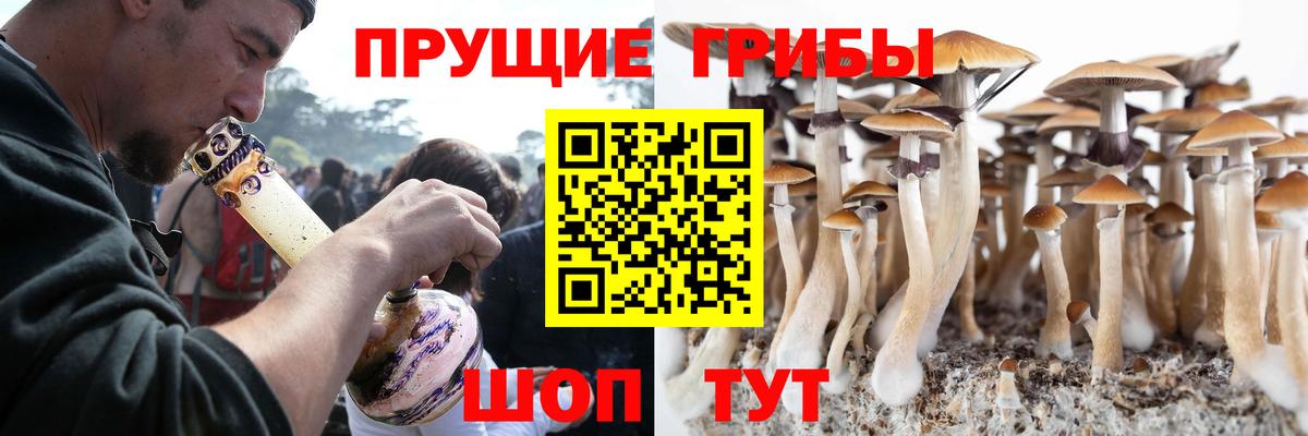 Псилоцибиновые грибы прущие грибы  Вход с VPN  Елабуга 