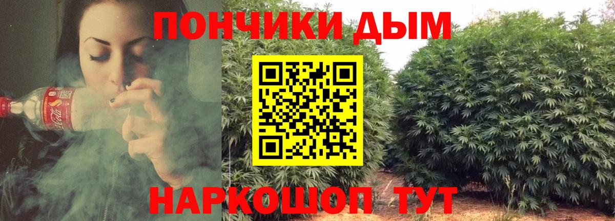 Бошки марихуана план Елабуга